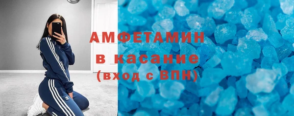 мет Алексин
