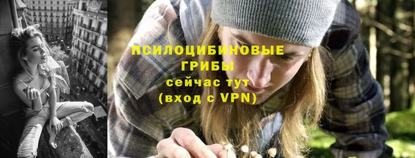 мет Алексин